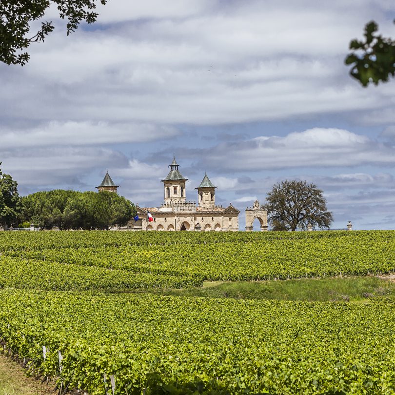Cos d'Estournel - Vignobles (2) Cos d'Estournel - Vignobles (2)