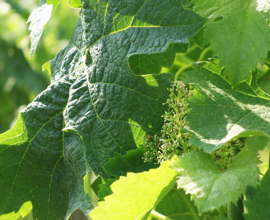 220519 - Photo 220519 - Photo