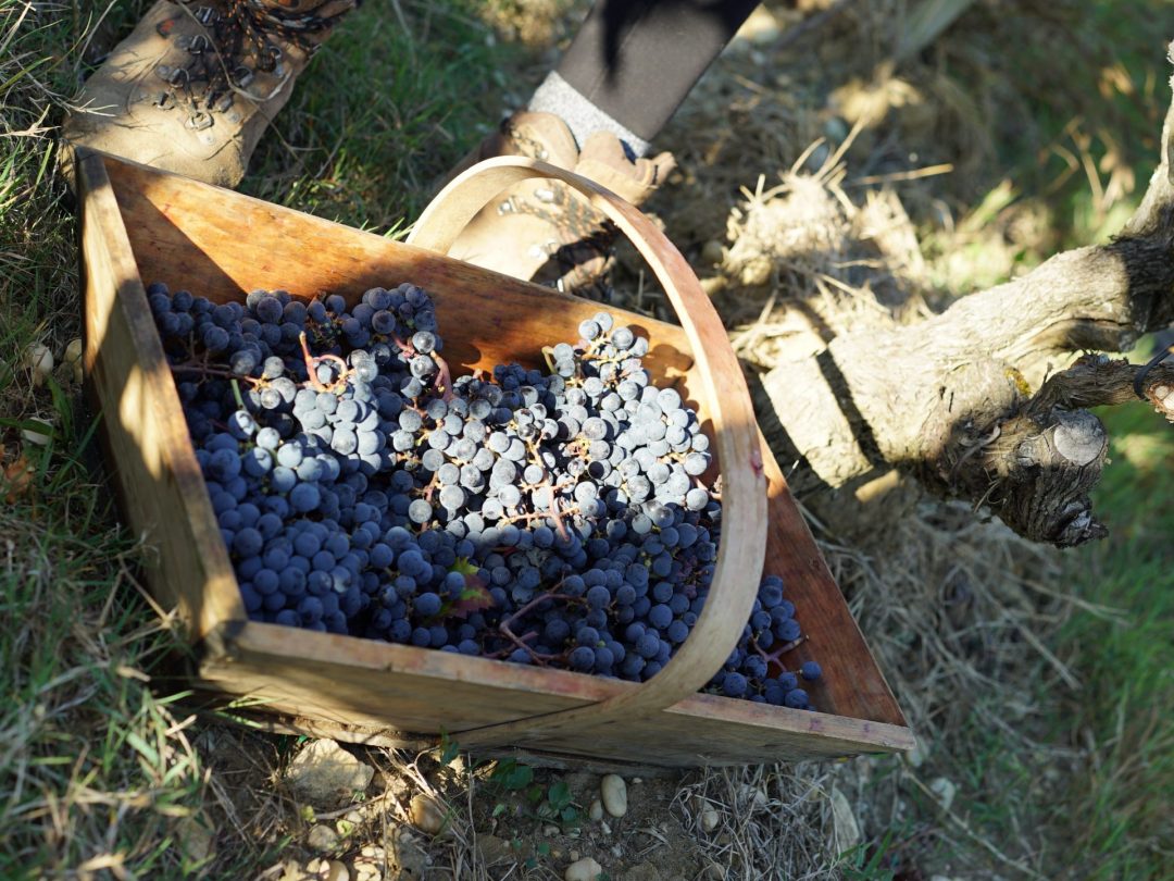 220914 - Photo (2) 220914 - Photo (2)