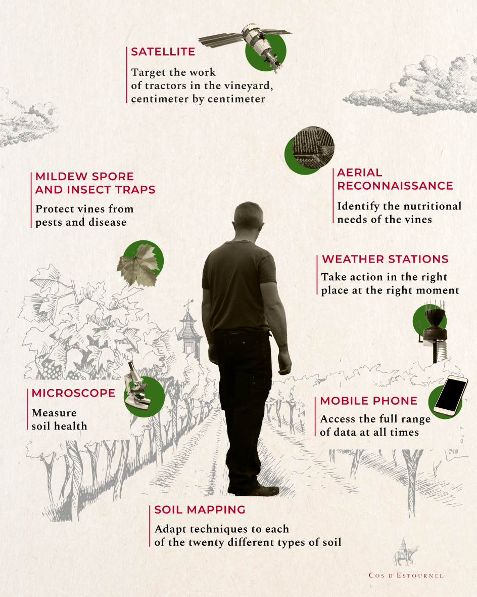 infographie-viticulture-en