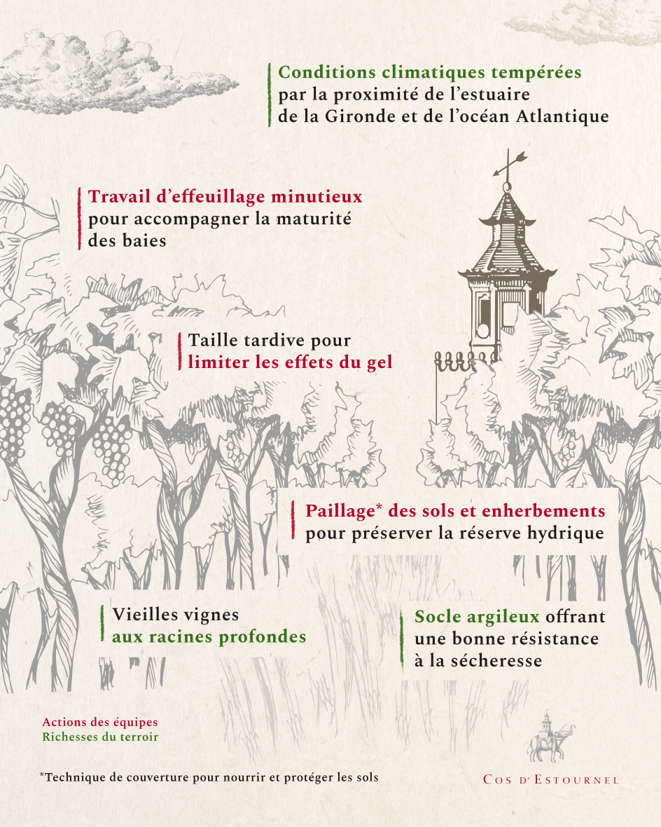 Infographie evironnement climat - cos