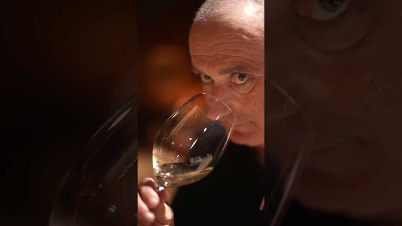 Cos d’Estournel Blanc 2024, Harmonious