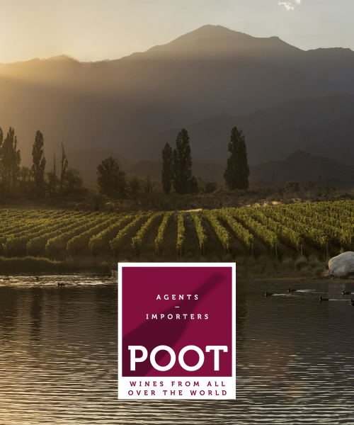 poot-vineyard poot-vineyard